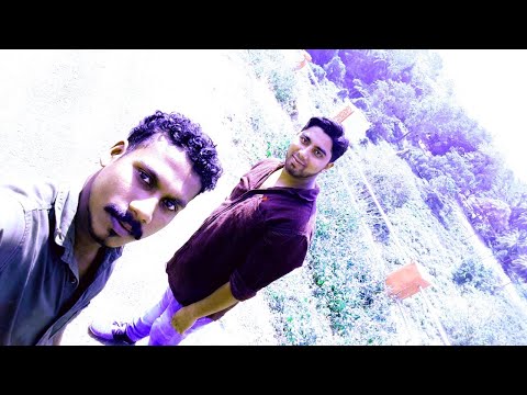 MY Friends