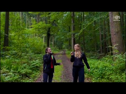 Foreign Language Award 2025 - Diana, Finia, Jenny, Klara und Nele aus Gelnhausen