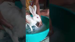 ❤️❤️🌹🌹👌👌👌#sortssorts #lovesong #shortfb