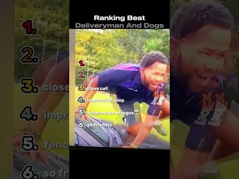 Ranking Best Delivery Man Vs Dogs Moments