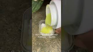 DIY room freshener. Mix salt, alcohol, fabric softener and cloves. #lifehacks #diy #smell #house