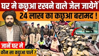 Turtle Keeping Rules in India | You will be sent to jail for keeping a turtle, know the complete ...