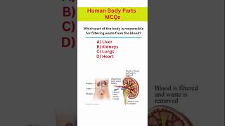 Human Body MCQs ||Anatomy And Physiology #competitiveexams #shorts #anatomyandphysiologymcqs