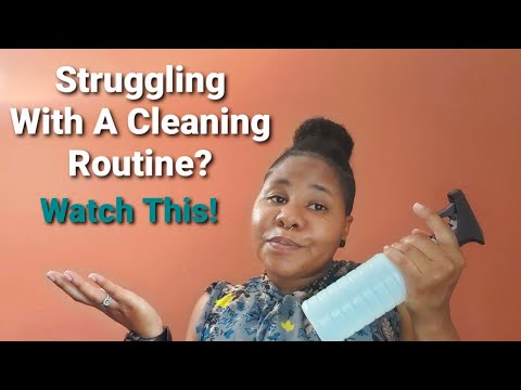 If You're Struggling With A Cleaning Routine? Watch This!