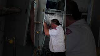 Our Powerhouse Team In Action
