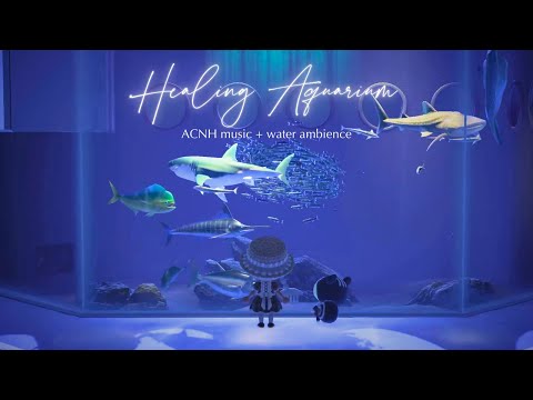 【ACNH】Soothing Aquarium 🫧🐬 | Relaxing Water Sounds & Ocean Vibes | Museum Original | Study/Work BGM