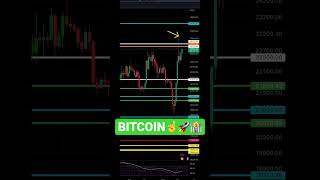 BITCOIN BULL RUN #shorts #crypto #cryptocurrency #youtubeshorts #BTC #investing #investors