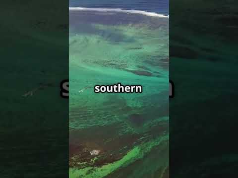 The Mystery of Flight MH370