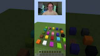 NO WAY this happened #shorts #minecraft #minecraftshorts
