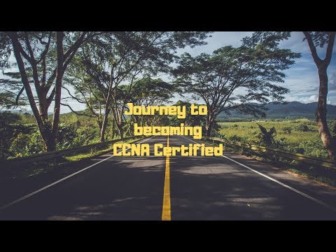 I Studied for the CCNA Everyday for 30 Days... Here's What Happened