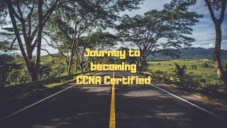 I Studied for the CCNA Everyday for 30 Days... Here's What Happened