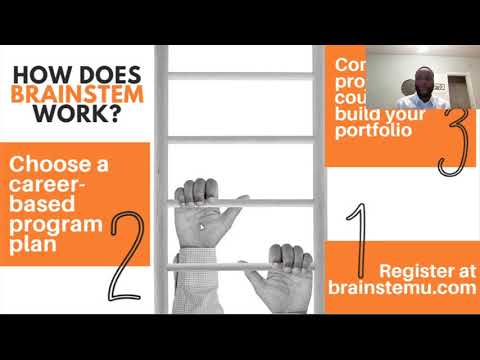 BrainSTEM 1min pitch