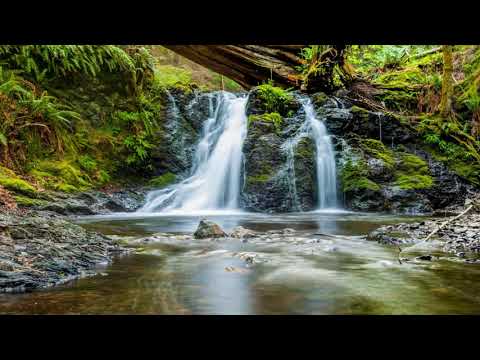 Positive Energy || Music for Positive Energy and Vibration || Music to remove Negative Energy
