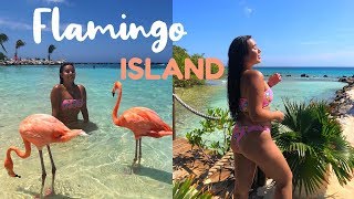 FLAMINGO BEACH ARUBA 2019: You NEED TO KNOW THIS before you go!