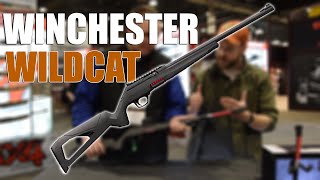 New Winchester WildCat 22 Carbine (SHOT Show 2020)