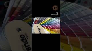 #birlaopus #birlaopuspaints #painting #colors #indiancolourslegaue #paintyourdreams #duniyakorangdo