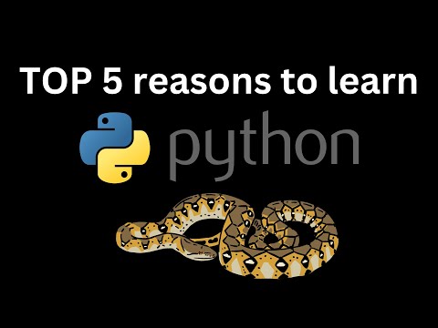TOP 5 reasons to learn Python #python #code #programming