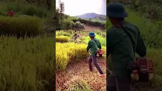 #shorts #agritools #farming2024 #agriculture  #JIKreactionagritools in farming 2024