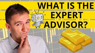 What Is the Expert Advisor?