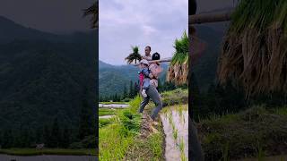 #short #agriculture #agritools#farming2024  #youtubeshorts #satisfying #EliteShortsUnleashed #2203