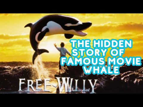 Keiko: The Free Willy's Untold Truth