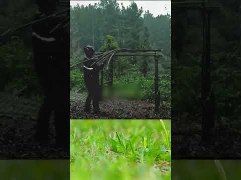 BUILD A UNIQUE SHELTER Part 1 #camping #cooking #bushcraft