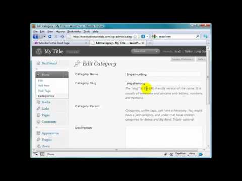 How to Clean and Customize Your WordPress Blog? (21) - Wordpress Video Tutorials