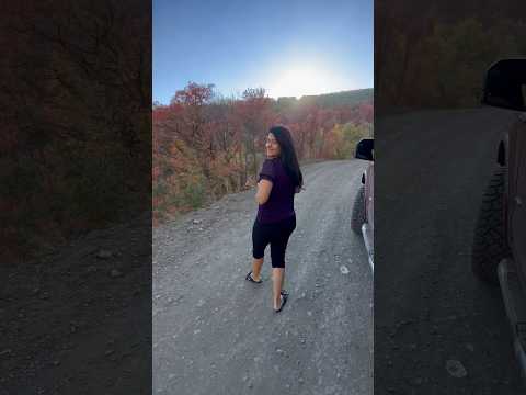Fall in Utah!🍁 Outono em Utah! 🍁 #fall #fallcolors #utah #beautiful #godisgreat #nature