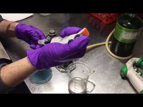 Agar Spread Plating Guide