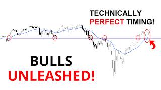 Technical Analysis of Stocks: SPY / QQQ / NVDA / TSLA / AMD / PLTR/ AMZN / GOLD