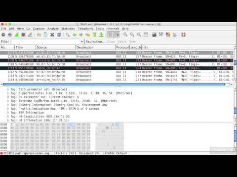 Wireless Hacking 53 Radio Traffic