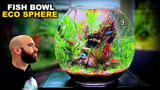 Eco Sphere Fish Bowl: AMAZING NO WATER CHANGE & No Filter Aquarium (AQUASCAPE TUTORIAL)