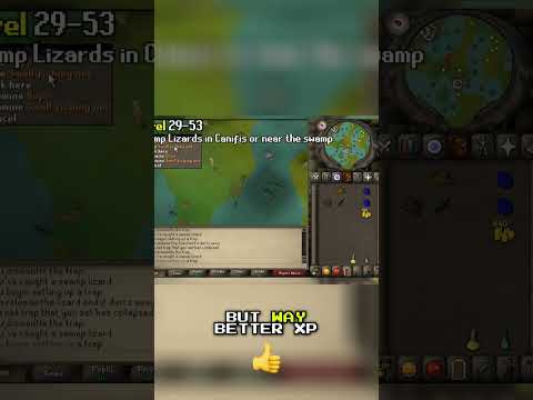 Easy Hunter XP: Swamp Lizards & Ferrets Guide!