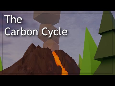 The Carbon Cycle - 3D Animation