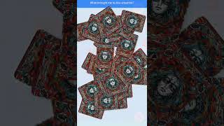 metaphorical cards #mapofmind