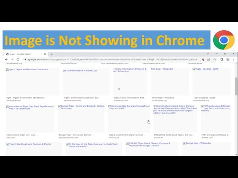 Images Not Showing in Chrome | Photos Not Showing In Google Chrome #chrome #googlesearch