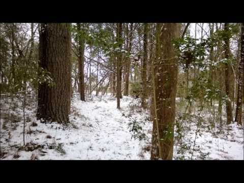 School's Snowy Trails (University of West Alabama)
