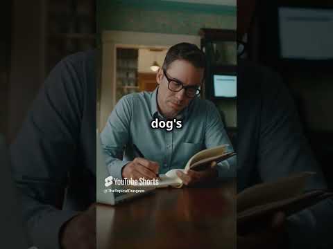 An AI Poetry Comparison