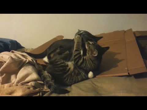 bruce and billey