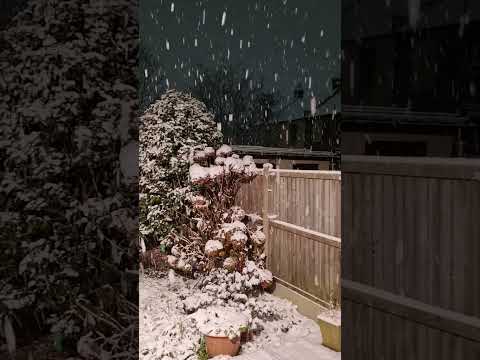 Snow ❄️ #winter#white#snow#London#UK