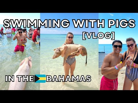 Swimming with PIGS in the BAHAMAS [VLOG] 🐷