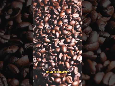 What is Robusta?