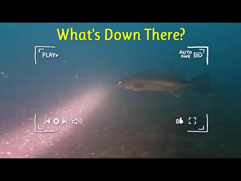 St. Clair River Underwater: What's Down There?