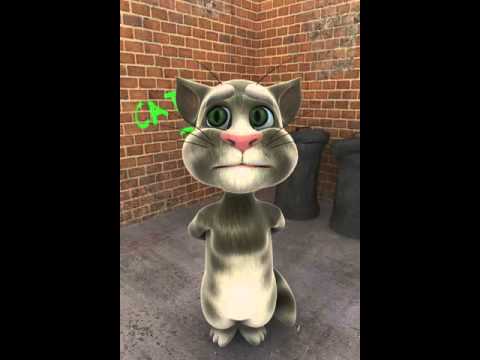 Tom cat singing ~