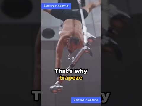 The Physics of Acrobatics: Laws of Movement in the Circus#physics #science #curiosity