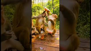 dis can't be business as usual 😳😂😂😂#funny #reaction #foryou