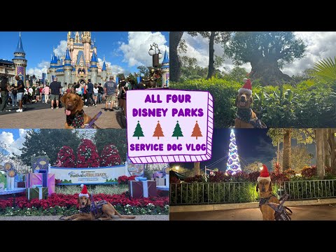 Service Dog Goes To All Disney Parks During Christmas!
