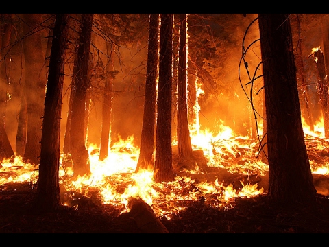UE4 Forest Fire Package
