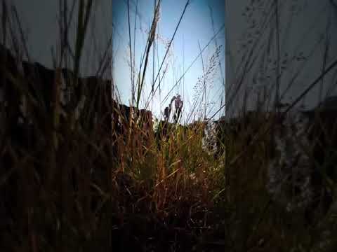 PEAKY BLINDERS cinematic video || part 1 || mobile cinematography #cinematic #aesthastic #shortfilm