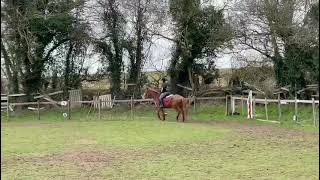 D4A- Intro 4- Class 17 Neave Musgrove & Cinnamon Blaze